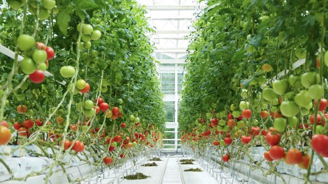 10家!浙江首批&ldquo;未來農場&rdquo;名單公布,有你去過的嗎?